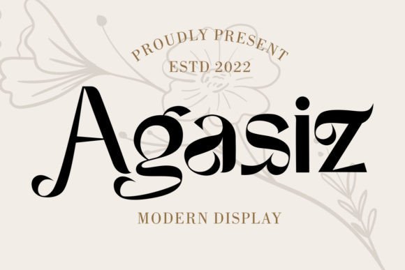 Agasiz: A Modern Display Font for Elegant Branding