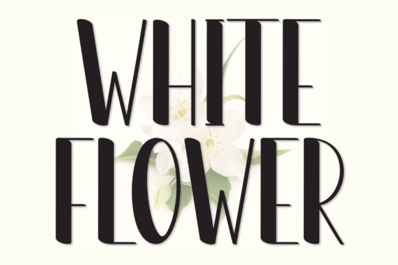 White Flower: A Modern Handwritten Sans Serif for Creative Design